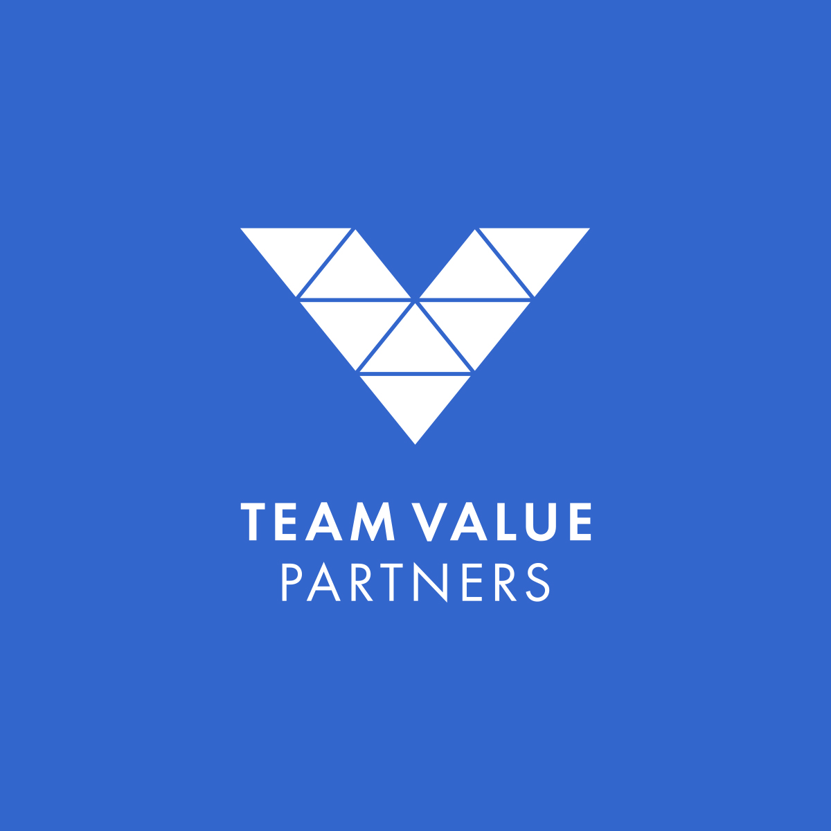 Team Value Partners